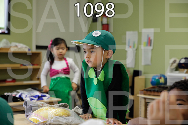 MI-RE-16-1098.jpg