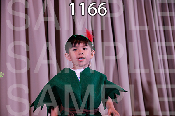 MI-RE-16-1166.jpg