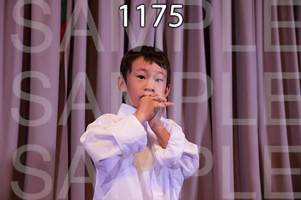 MI-RE-16-1175.jpg