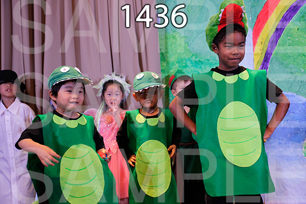 MI-RE-16-1436.jpg