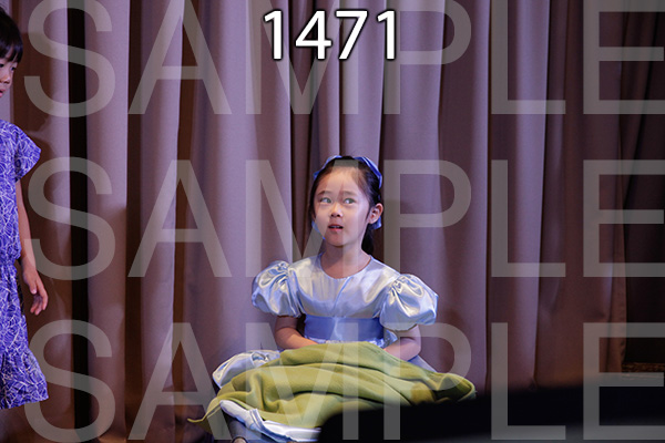 MI-RE-16-1471.jpg
