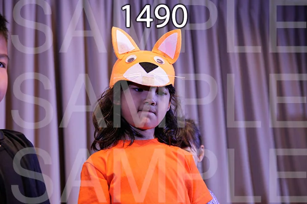 MI-RE-16-1490.jpg