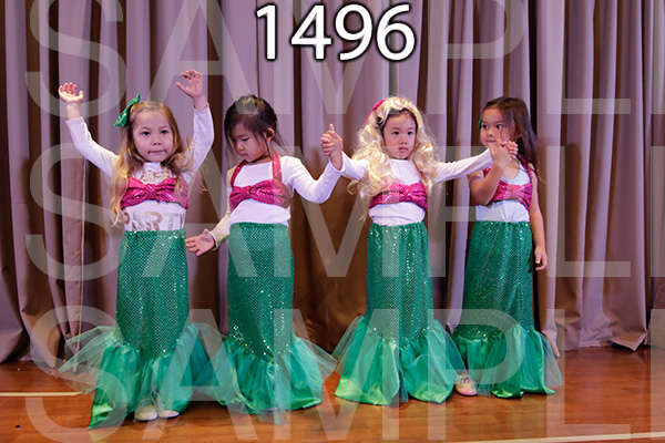 MI-RE-16-1496.jpg