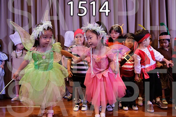 MI-RE-16-1514.jpg