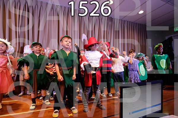 MI-RE-16-1526.jpg
