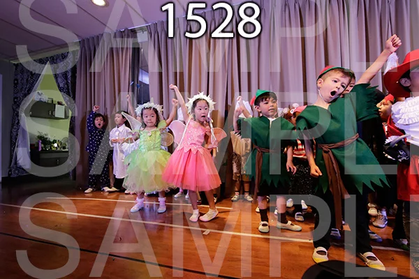 MI-RE-16-1528.jpg