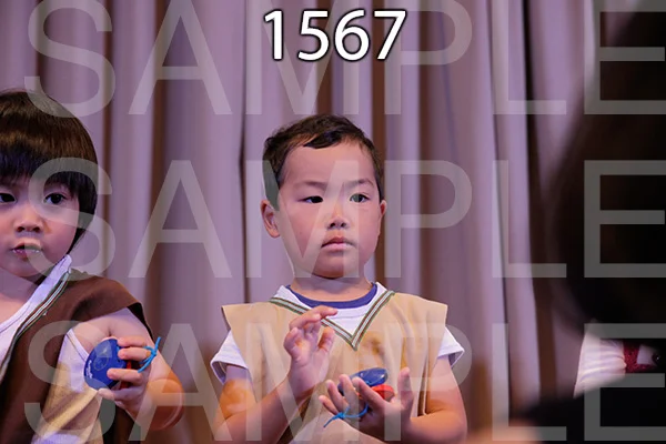 MI-RE-16-1567.jpg