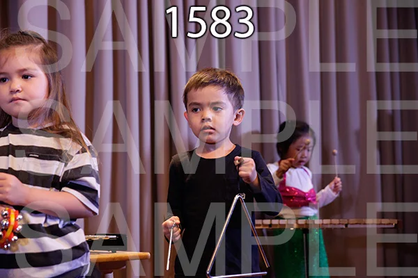 MI-RE-16-1583.jpg