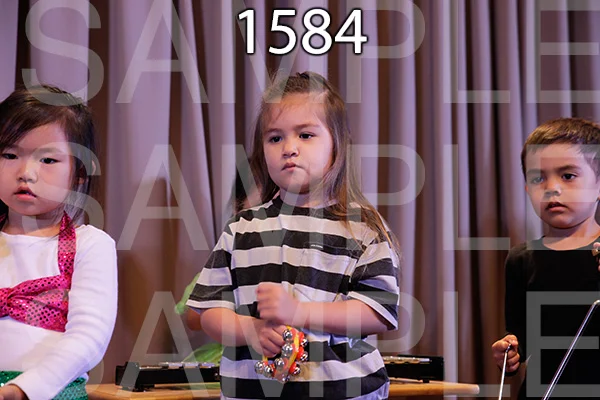MI-RE-16-1584.jpg