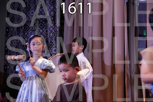 MI-RE-16-1611.jpg