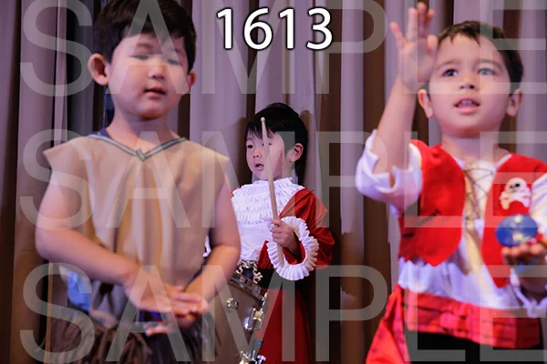 MI-RE-16-1613.jpg