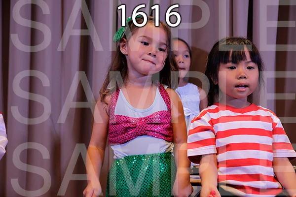 MI-RE-16-1616.jpg