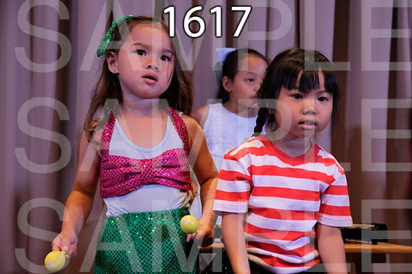 MI-RE-16-1617.jpg