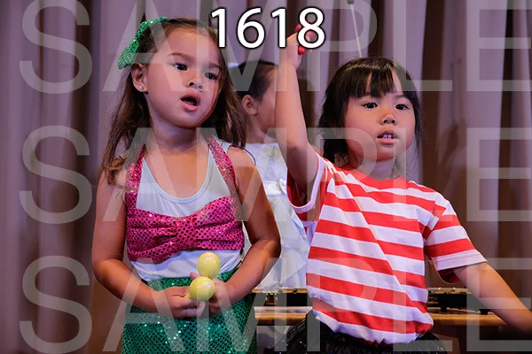 MI-RE-16-1618.jpg