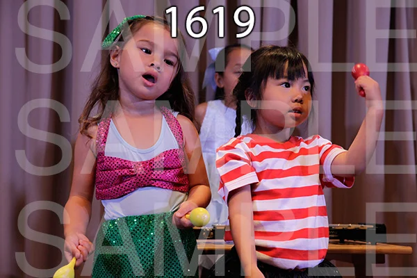 MI-RE-16-1619.jpg