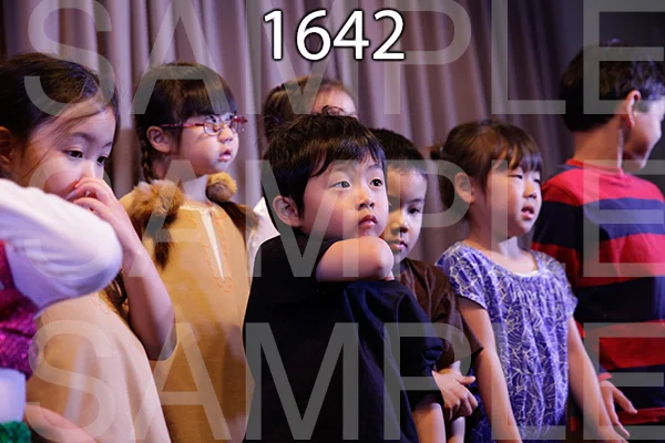 MI-RE-16-1642.jpg