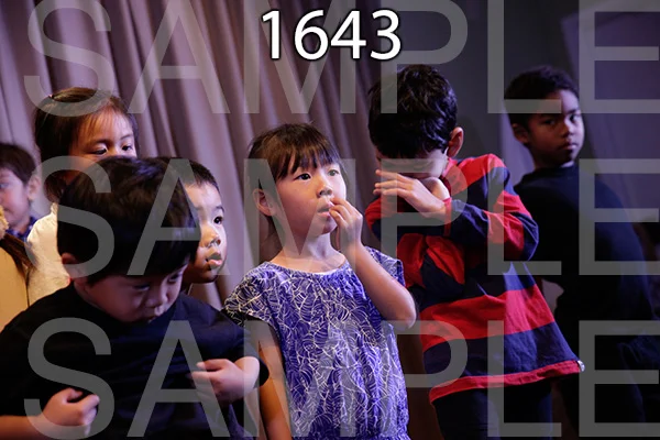 MI-RE-16-1643.jpg