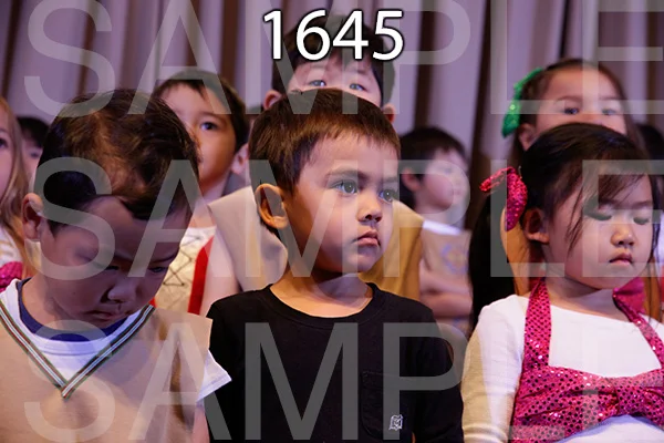 MI-RE-16-1645.jpg