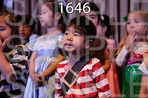 MI-RE-16-1646.jpg