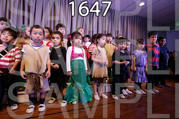 MI-RE-16-1647.jpg