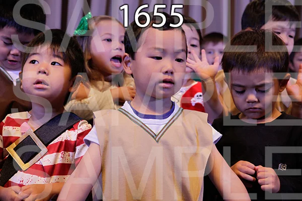 MI-RE-16-1655.jpg
