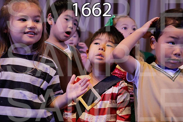 MI-RE-16-1662.jpg