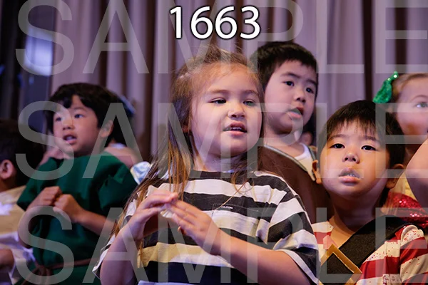 MI-RE-16-1663.jpg