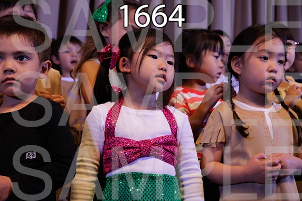 MI-RE-16-1664.jpg