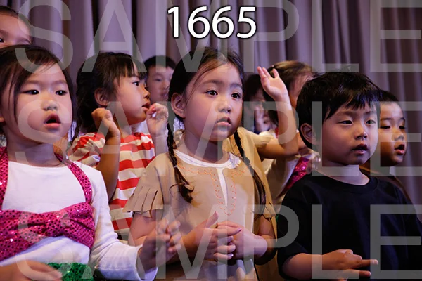 MI-RE-16-1665.jpg
