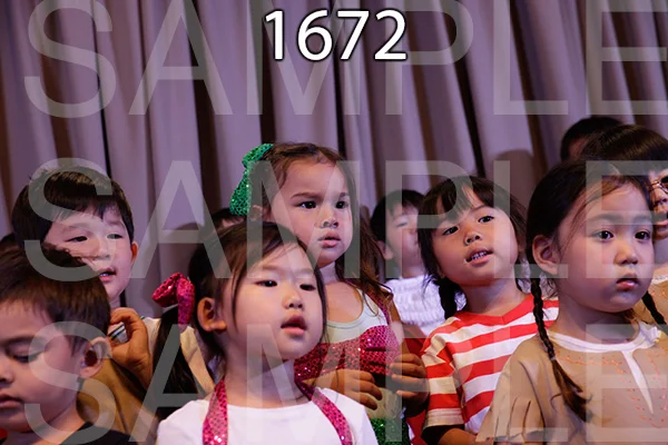 MI-RE-16-1672.jpg