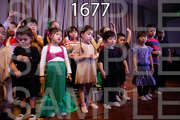 MI-RE-16-1677.jpg