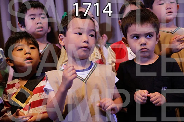MI-RE-16-1714.jpg