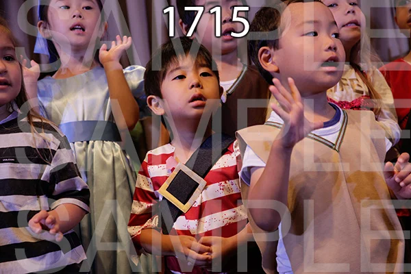 MI-RE-16-1715.jpg