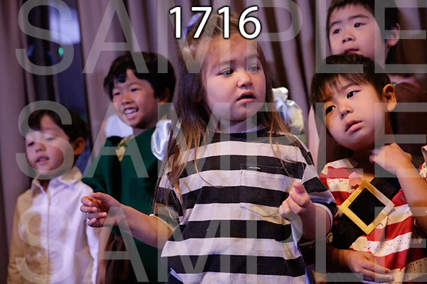 MI-RE-16-1716.jpg