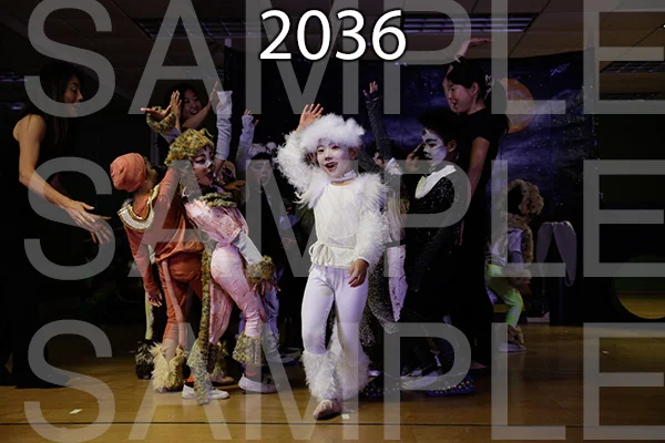 MI-RE-16-2036.jpg