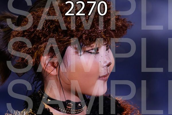 MI-RE-16-2270.jpg