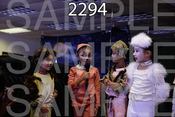 MI-RE-16-2294.jpg