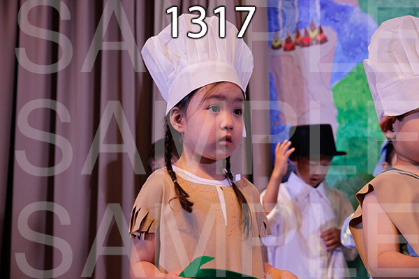 MI-RE-16-1317.jpg