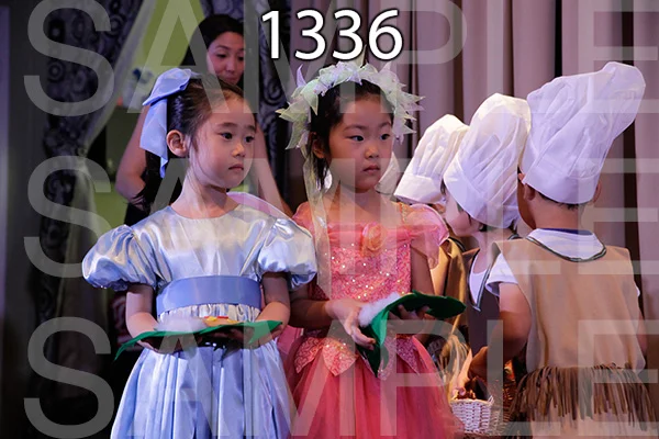 MI-RE-16-1336.jpg