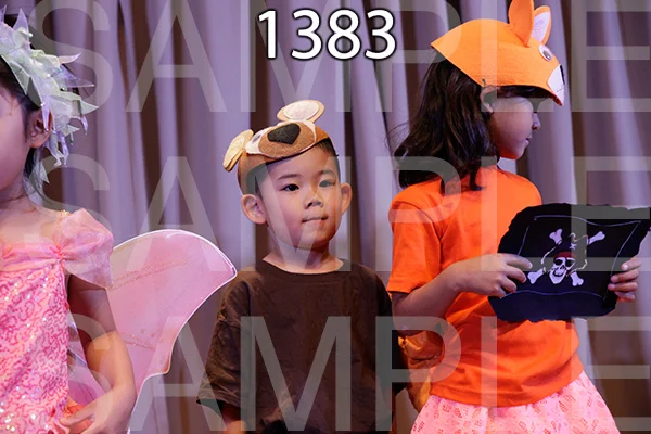 MI-RE-16-1383.jpg