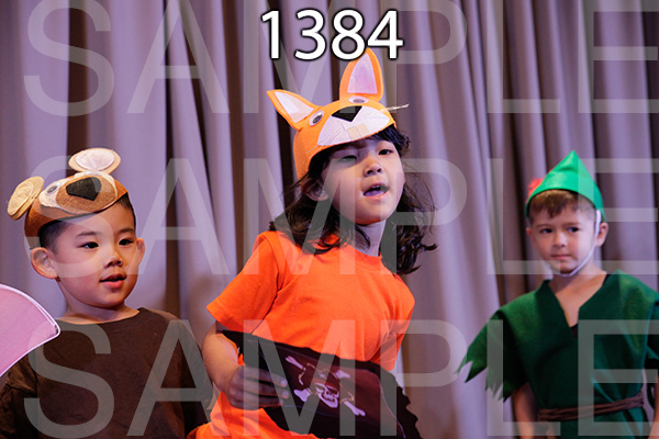 MI-RE-16-1384.jpg