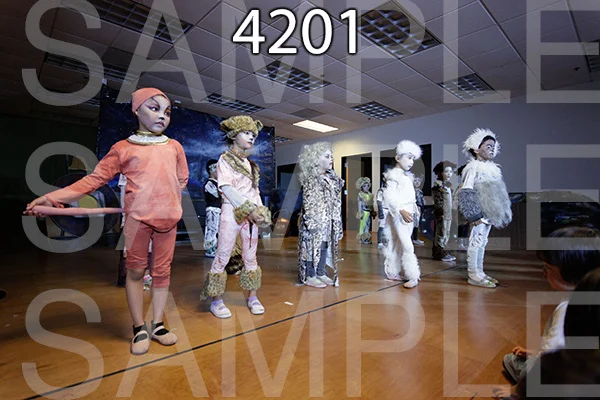 MI-RE-16-4201.jpg