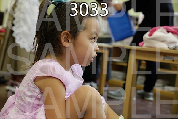 MI-RE-16-3033.jpg