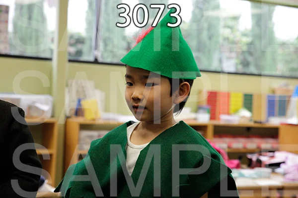 MI-RE-16-3073.jpg