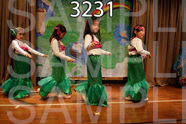 MI-RE-16-3231.jpg