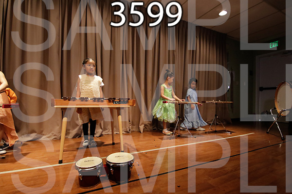 MI-RE-16-3599.jpg