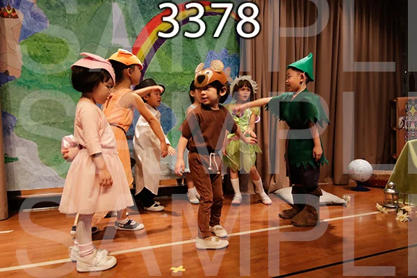 MI-RE-16-3378.jpg