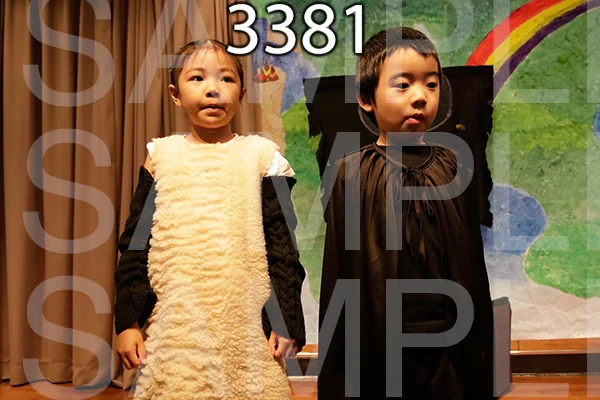 MI-RE-16-3381.jpg