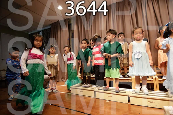 MI-RE-16-3644.jpg