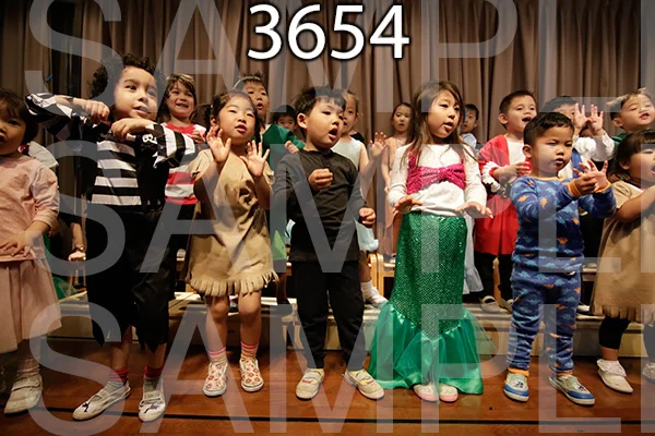 MI-RE-16-3654.jpg